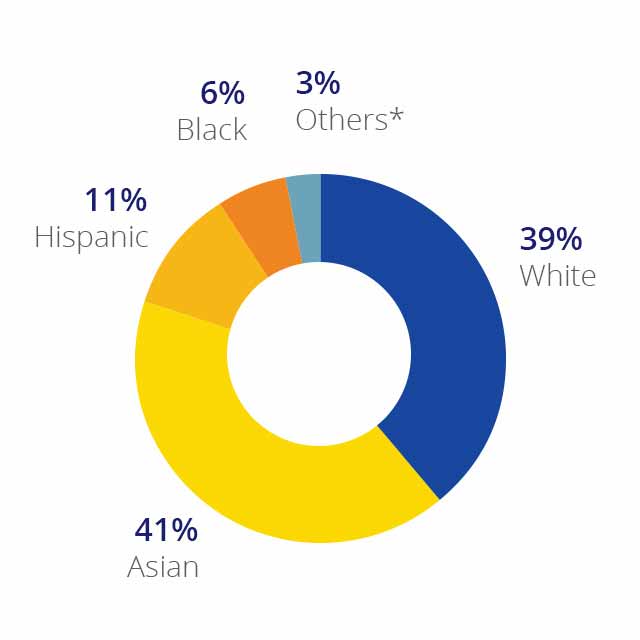 Texas Tech Ethnic Diversity Pie Chart