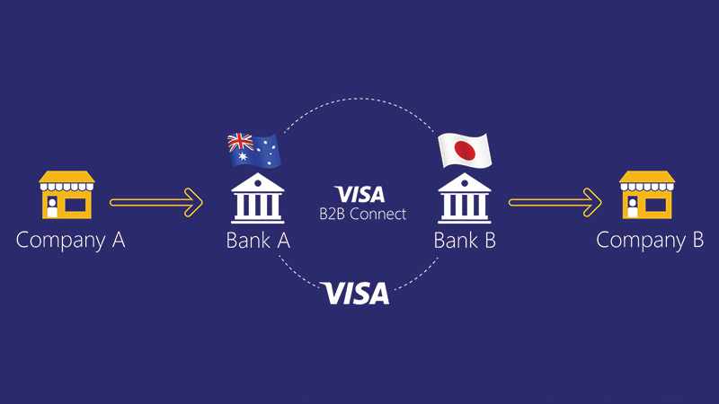 Visa B2B Connect | Visa