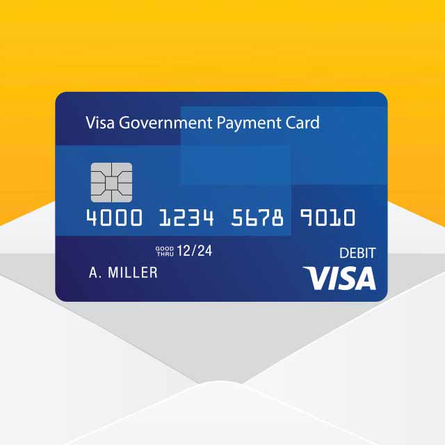 Tarjetas de pago del gobierno Visa